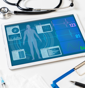 גוף האדם בהנדסה רפואית