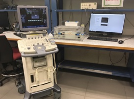 זיהוי פתלוגיות בכלי דם באמצעות סימולטור זרימה לאולטרסאונד